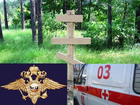 Россия сегодня: могильный крест, МВД,
скорая психиатрическая помощь